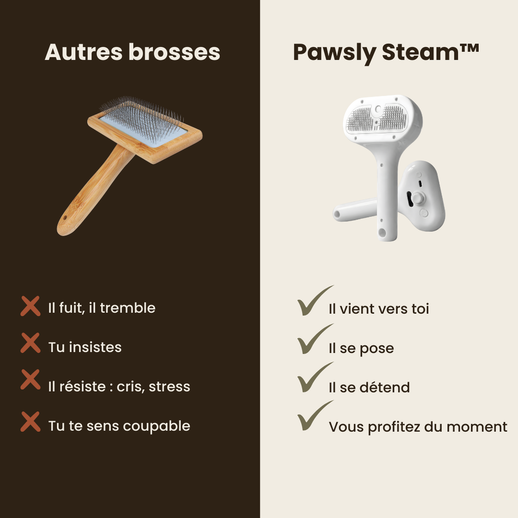 Pawsly Steam™